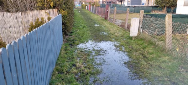 STAN WYŻSZEJ KONIECZNOŚCI